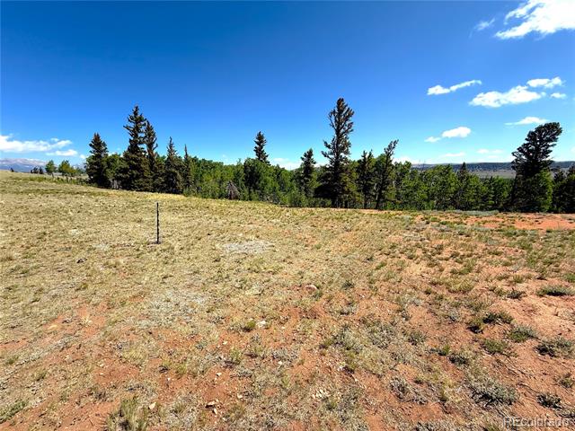 4319 Meier Ridge Trail