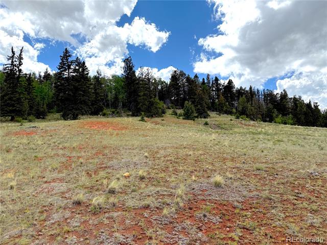4319 Meier Ridge Trail