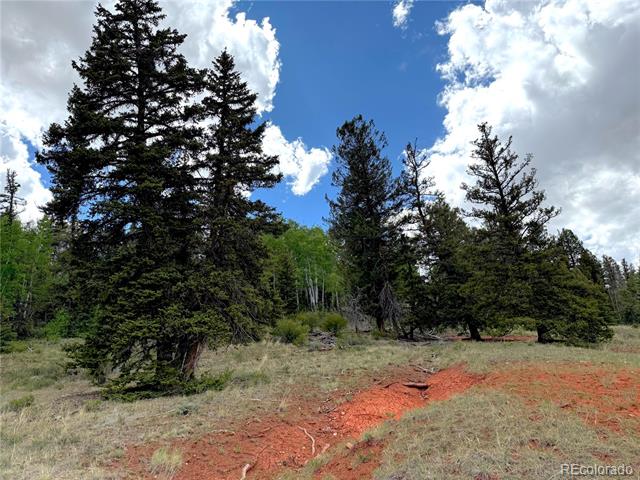 4319 Meier Ridge Trail