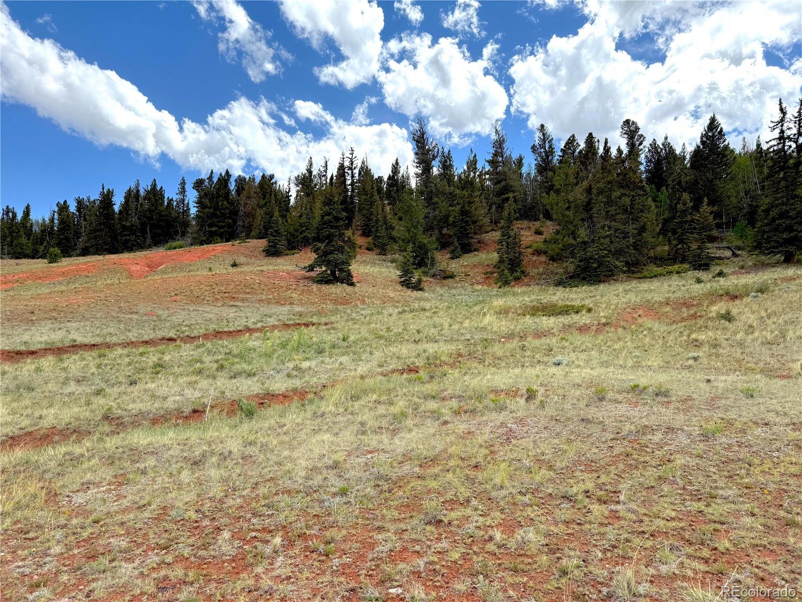 4319 Meier Ridge Trail