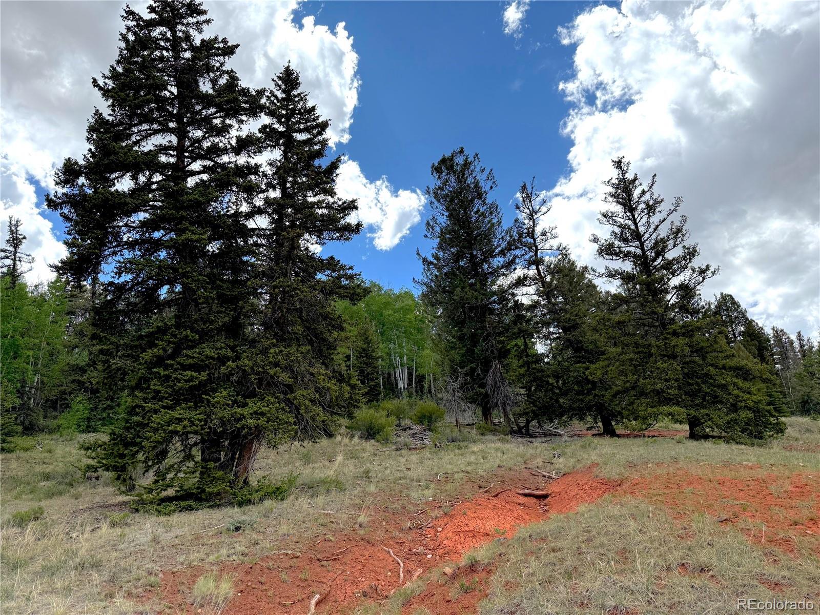 4319 Meier Ridge Trail