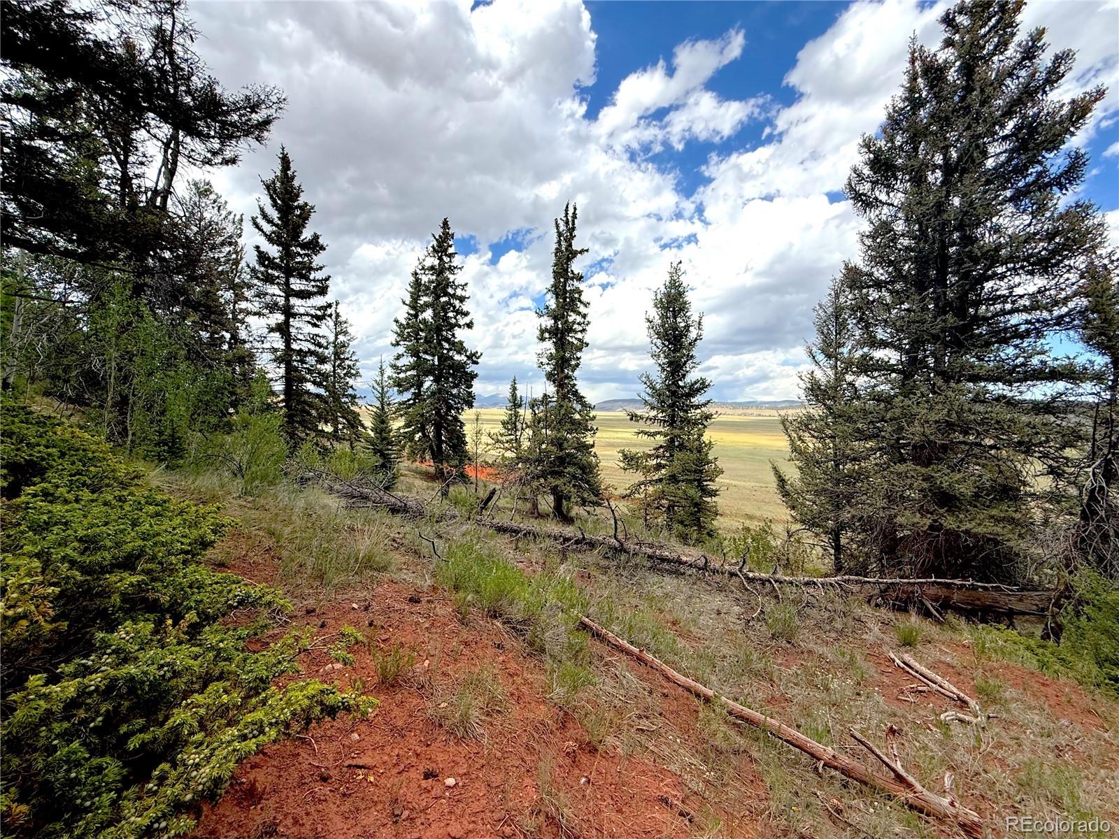 4319 Meier Ridge Trail