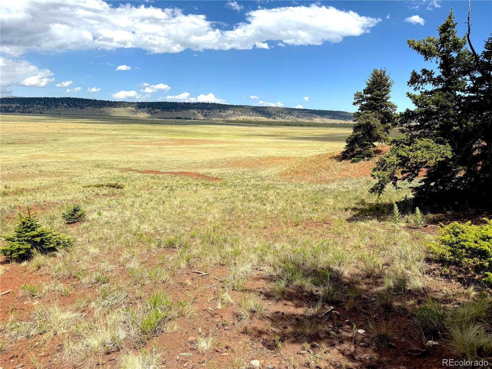 4319 Meier Ridge Trail