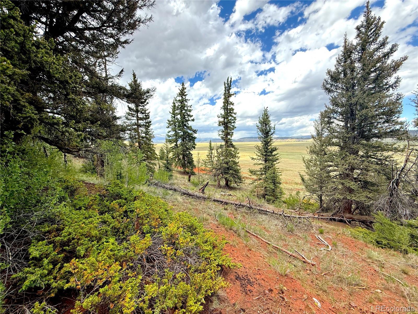 4319 Meier Ridge Trail