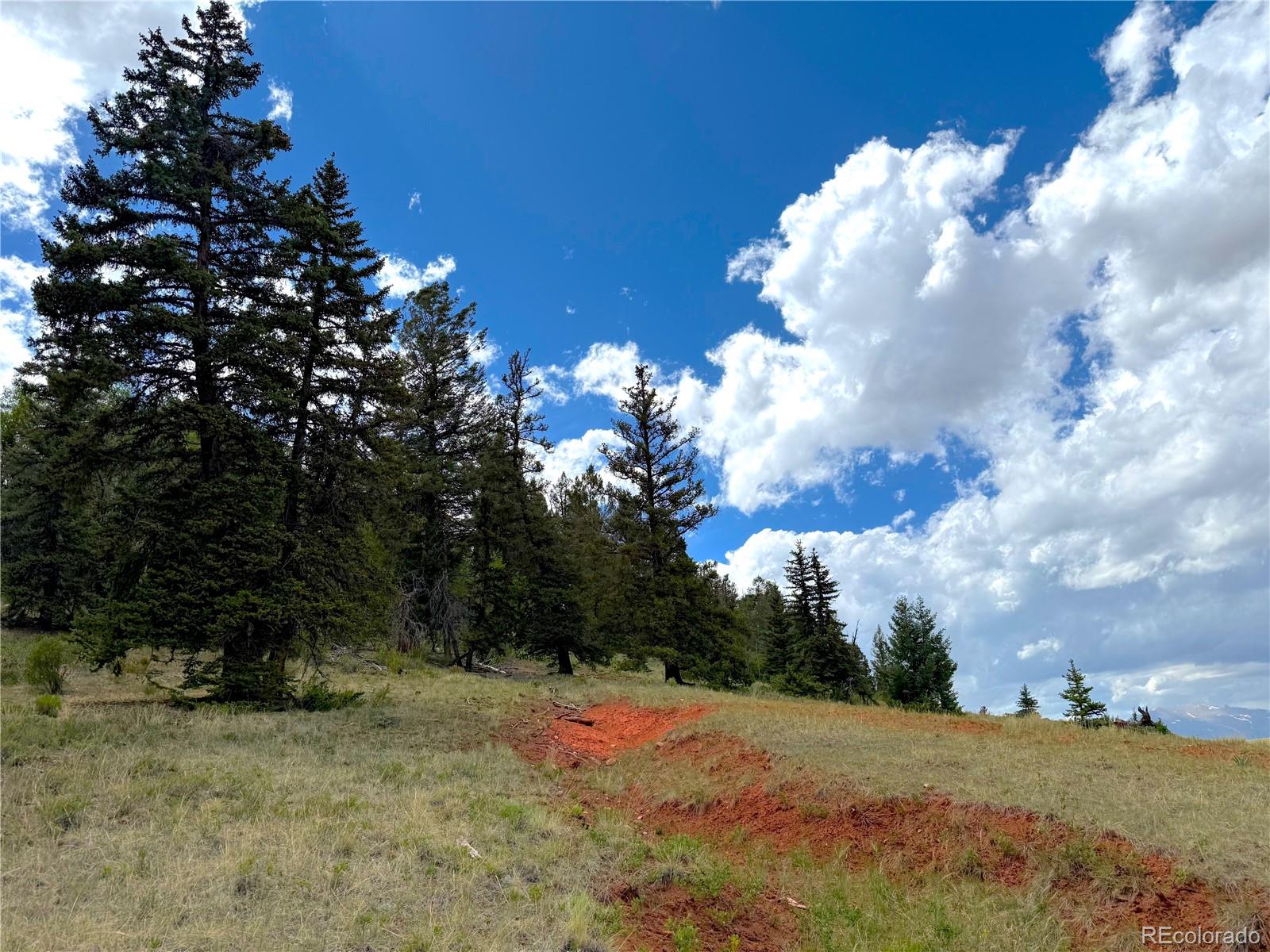 4319 Meier Ridge Trail
