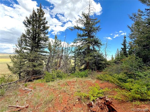 4319 Meier Ridge Trail