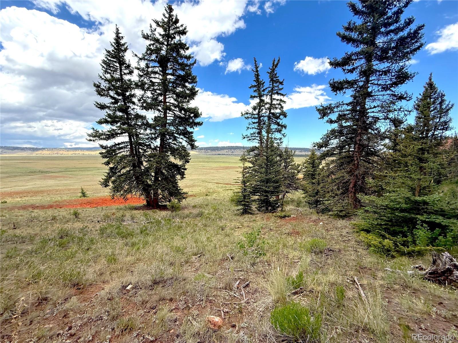 4319 Meier Ridge Trail