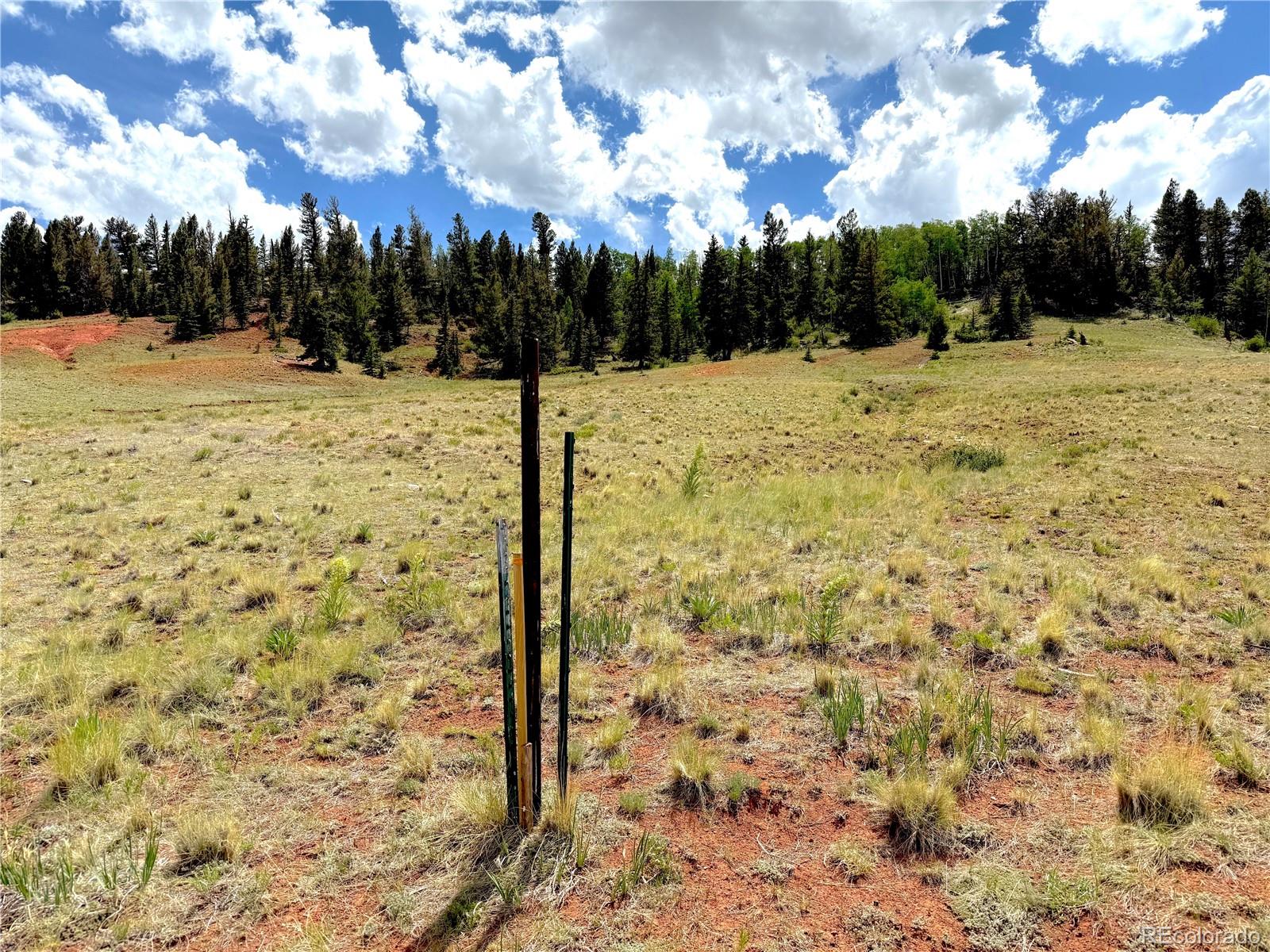 4319 Meier Ridge Trail