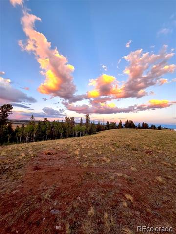 4319 Meier Ridge Trail