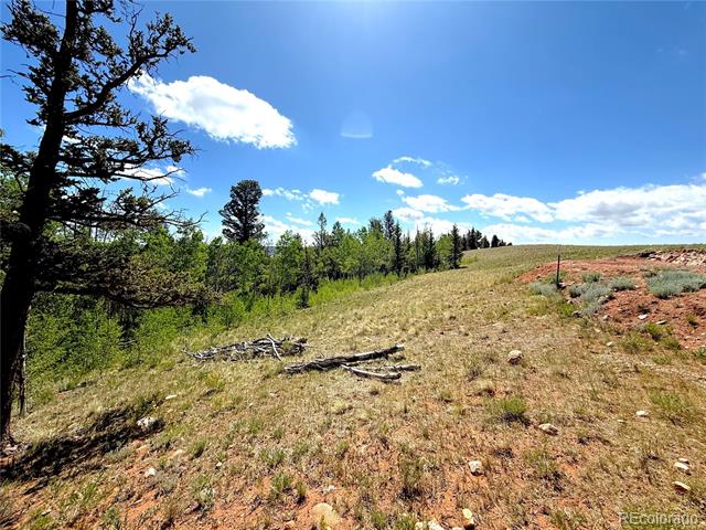 4319 Meier Ridge Trail