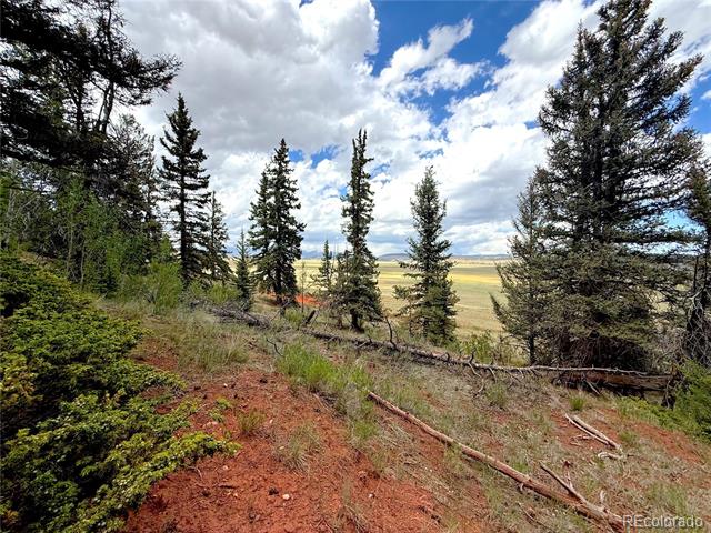 4319 Meier Ridge Trail