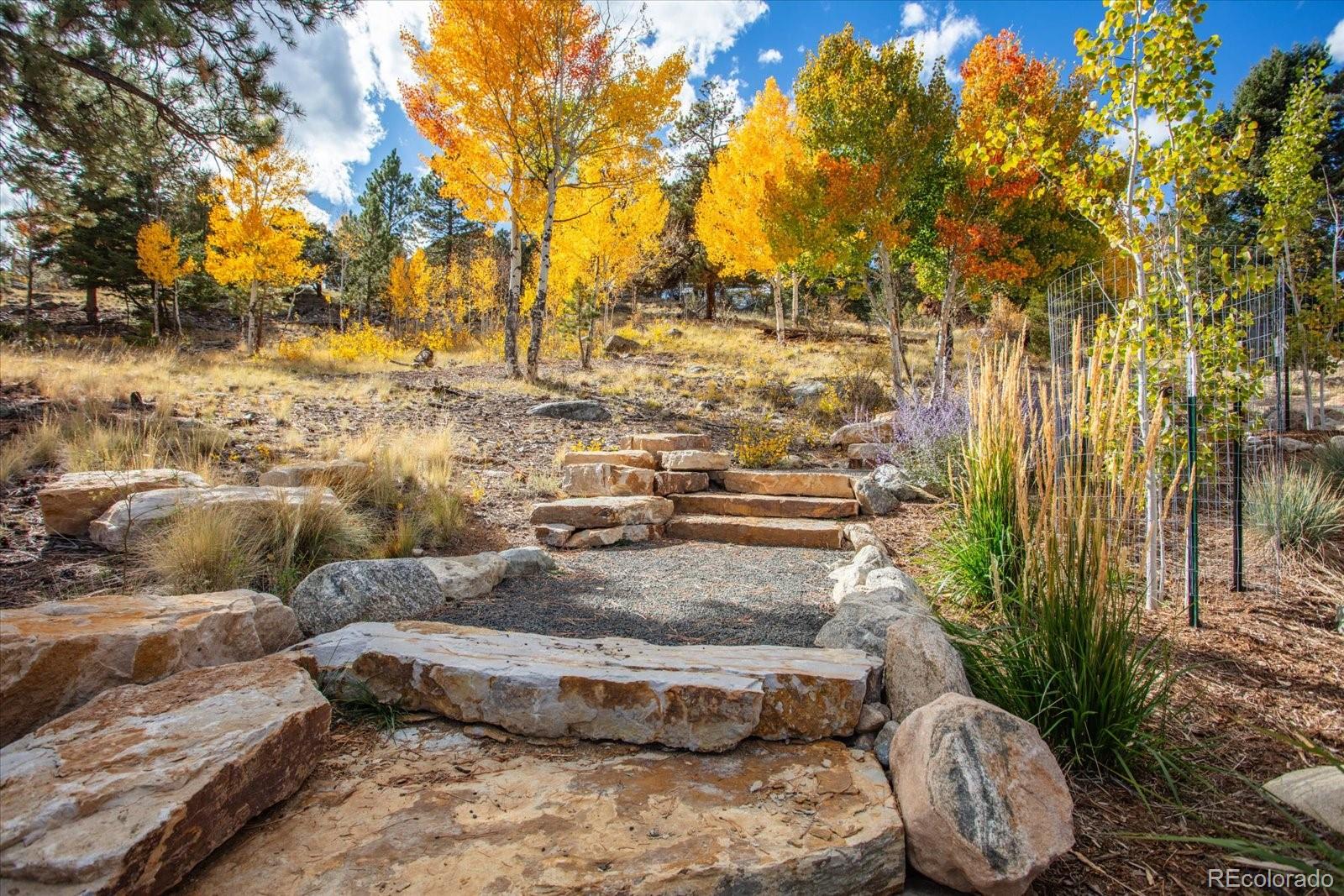 30009 Creek Run
