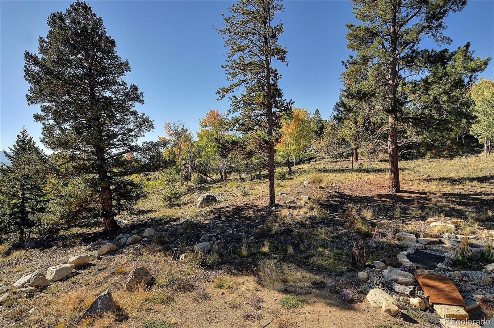 30009 Creek Run