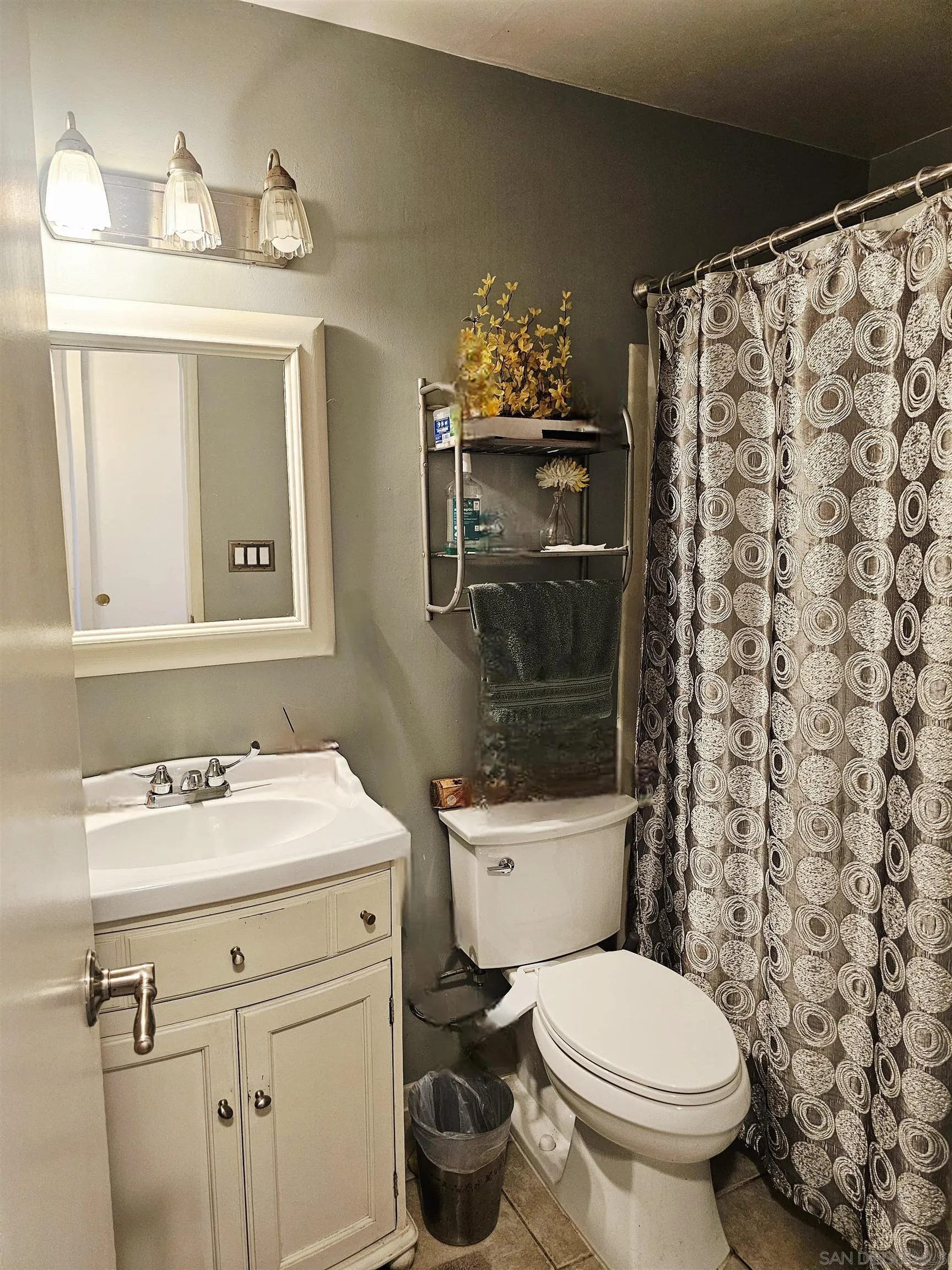 7045 Beagle, San Diego