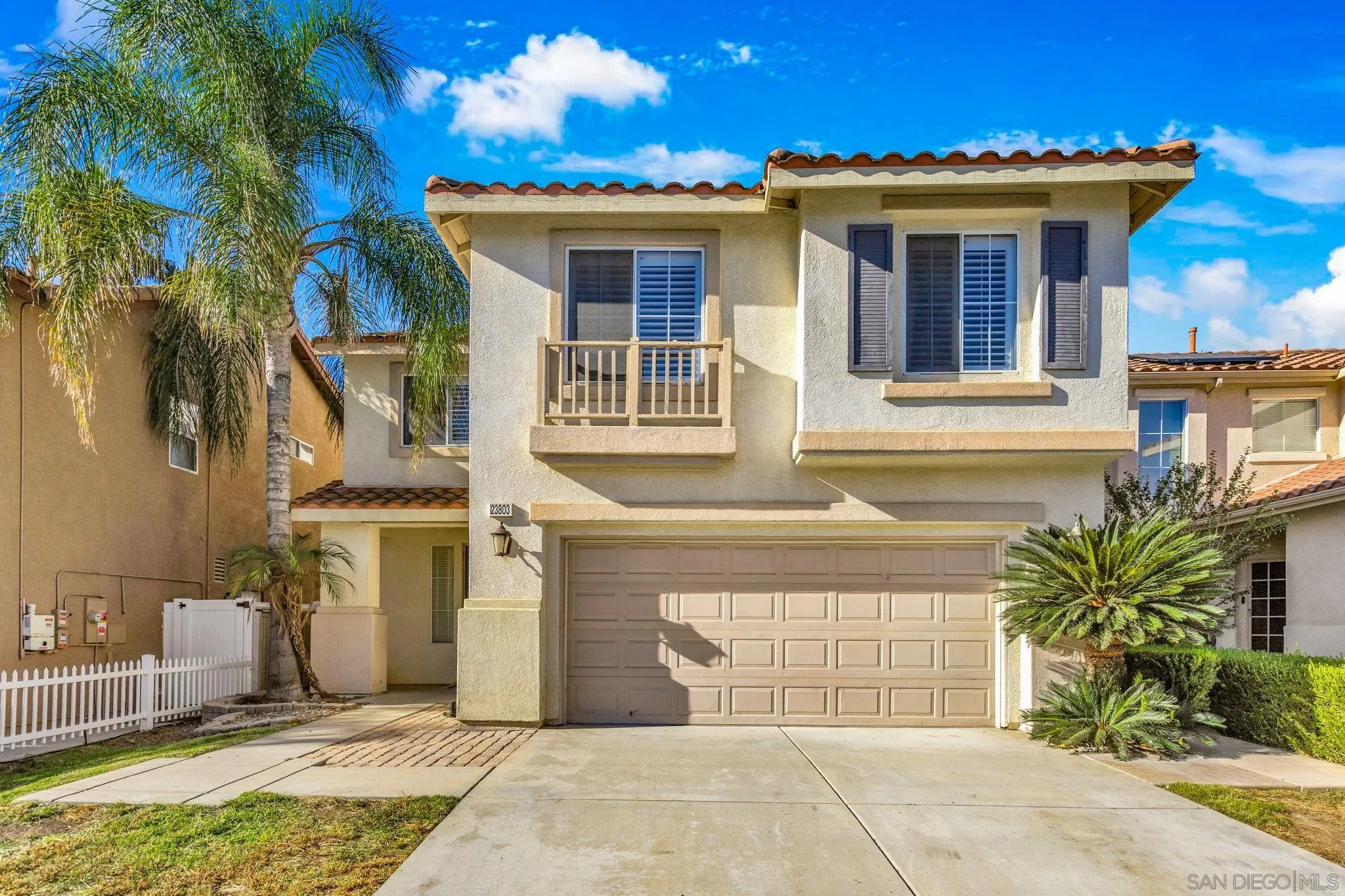 23803 Golden Pheasant