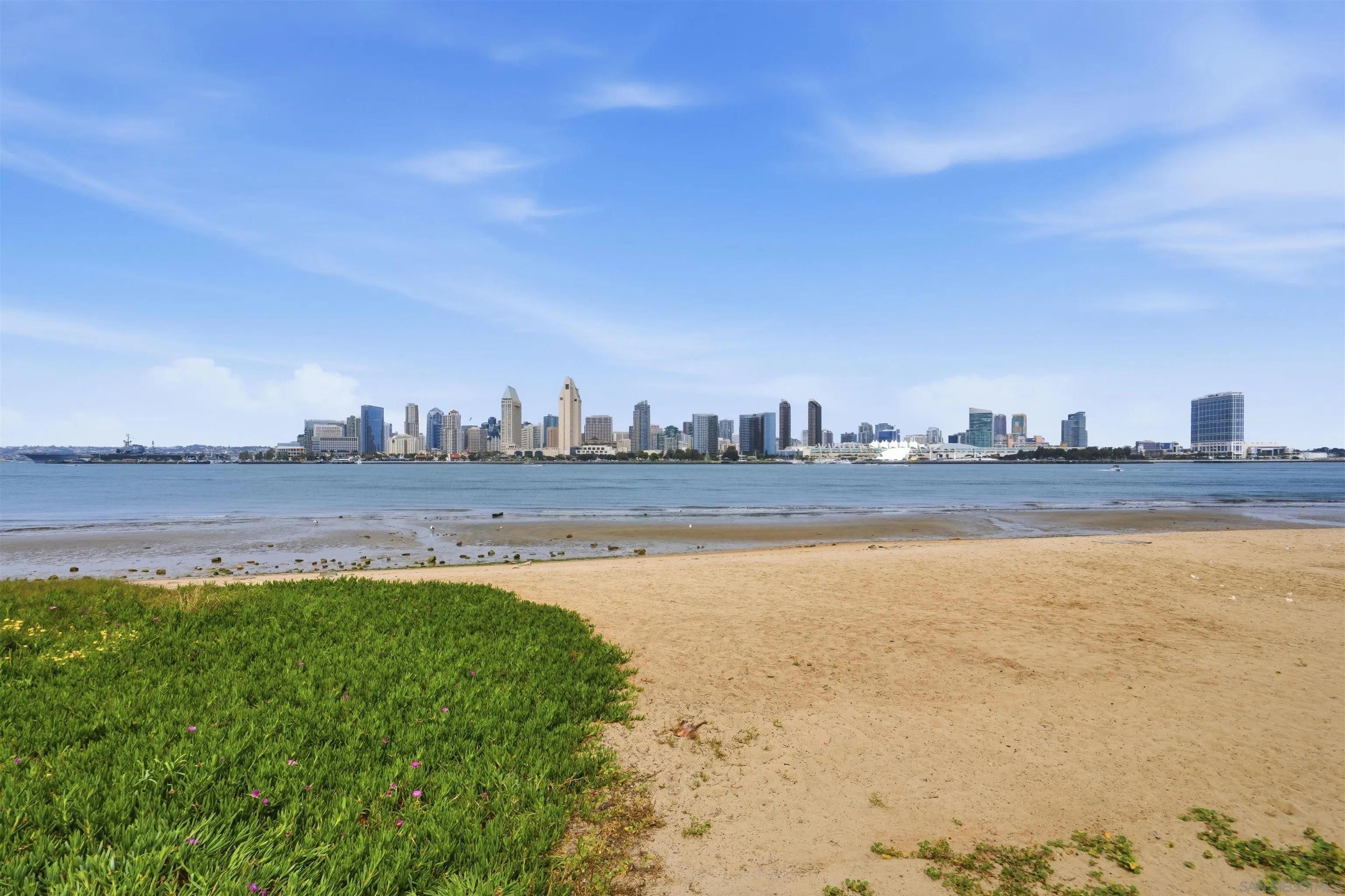 1099 1 Street Unit 223