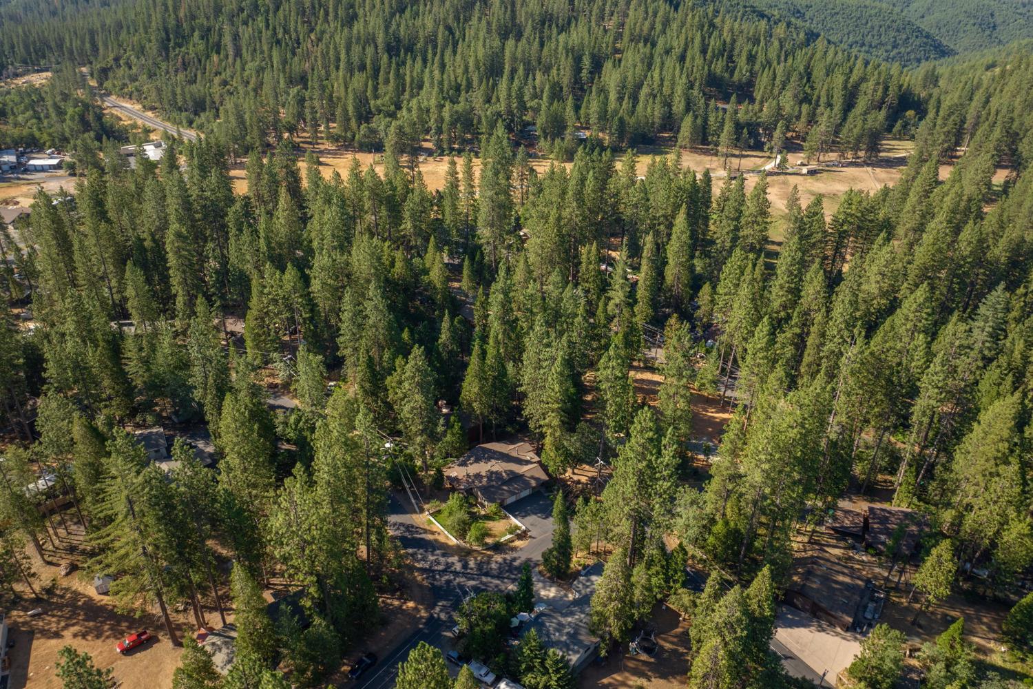 266 Bluebird Lane