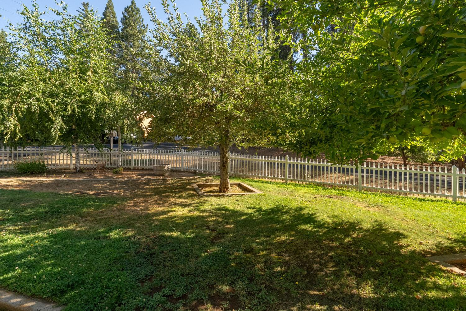 266 Bluebird Lane