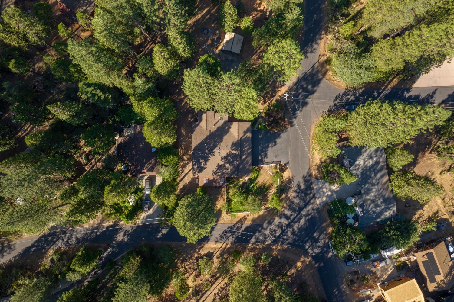 266 Bluebird Lane