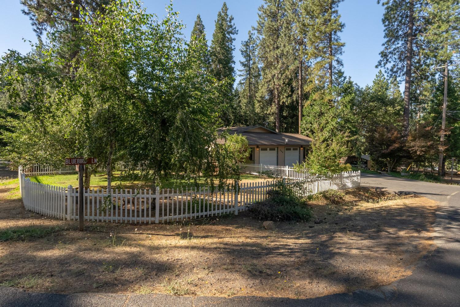 266 Bluebird Lane
