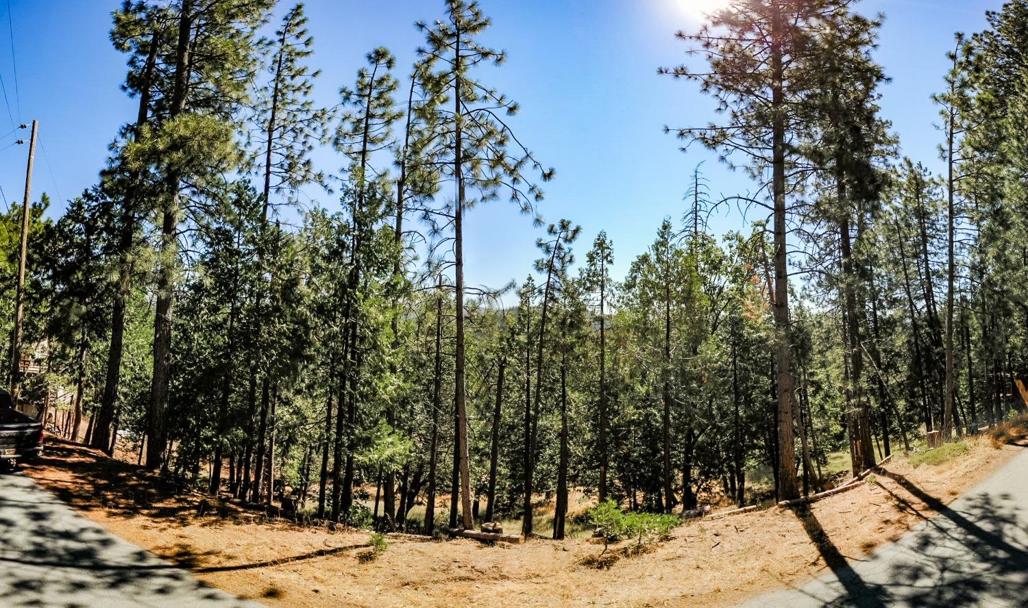 2752 Placer Way