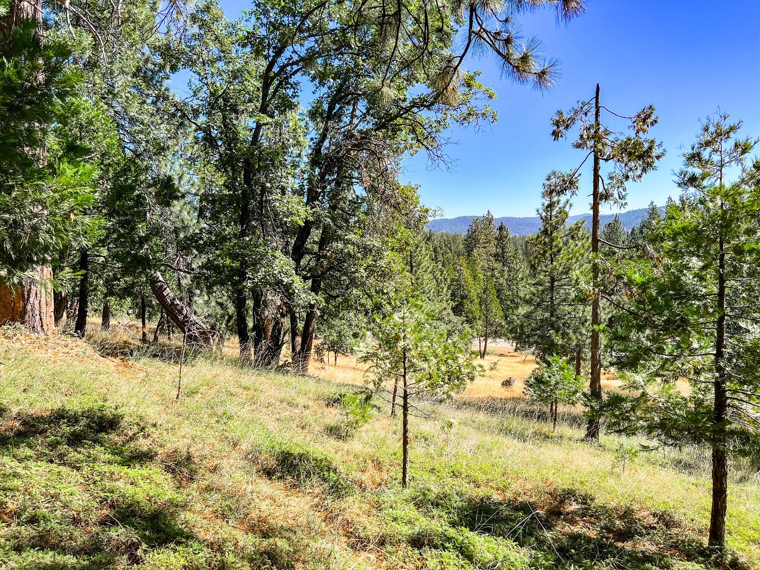 2752 Placer Way