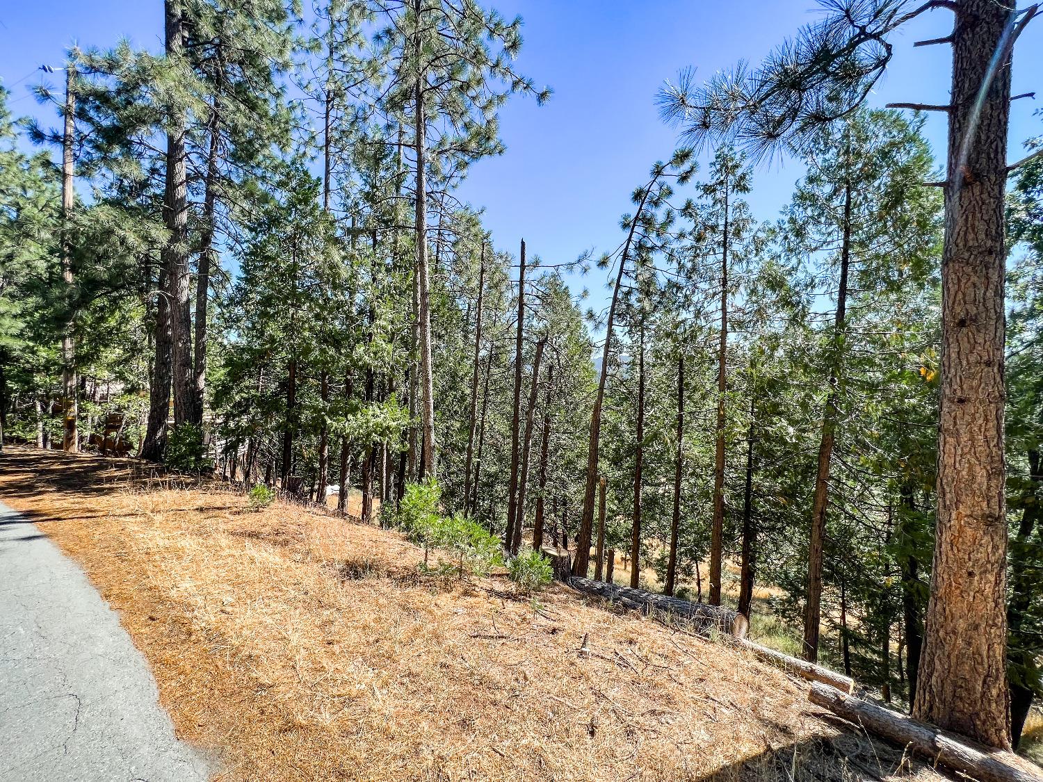 2752 Placer Way