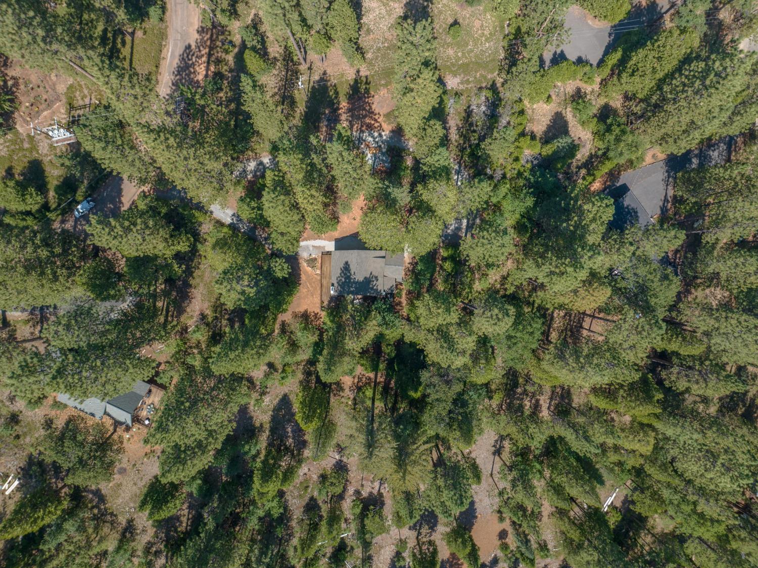 1945 Airacobra Avenue