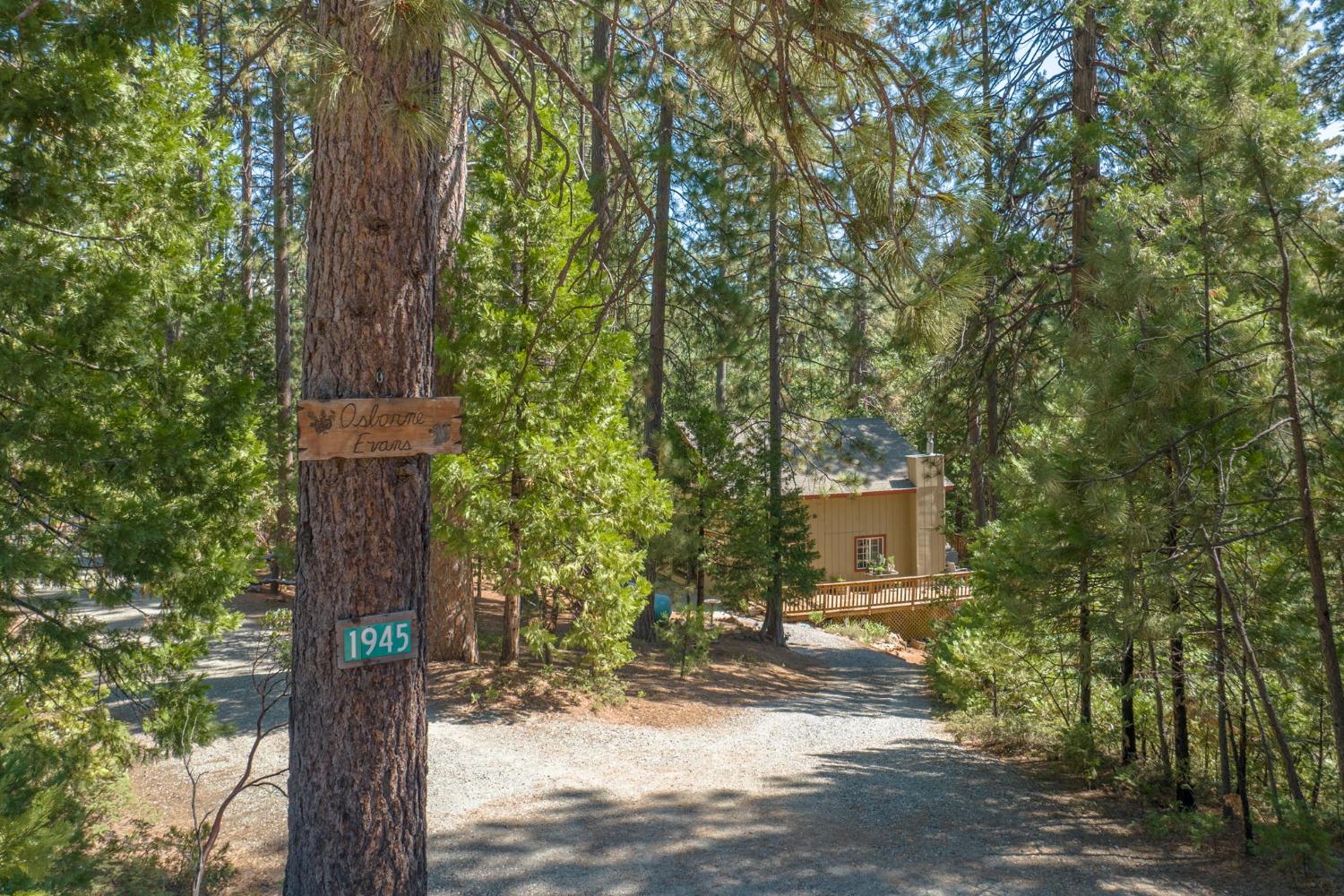 1945 Airacobra Avenue