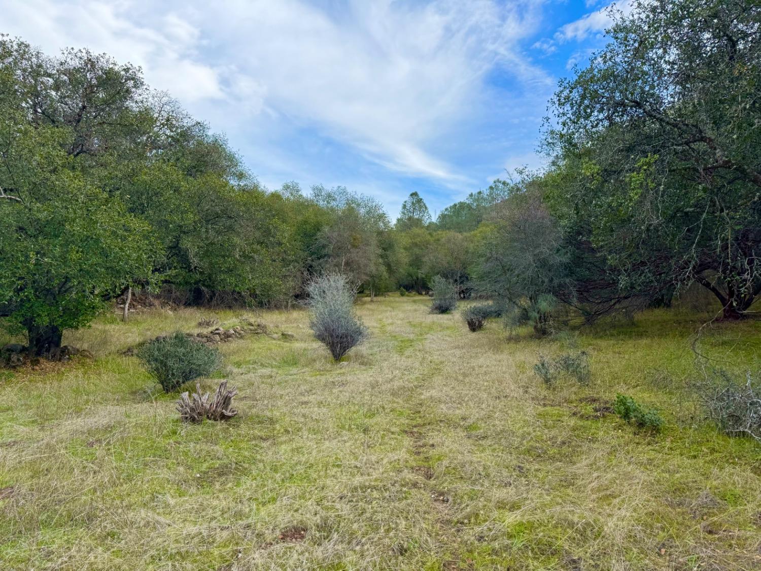 2218 Butte Mountain Rd