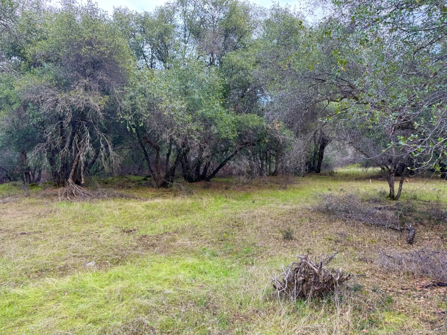 2218 Butte Mountain Rd