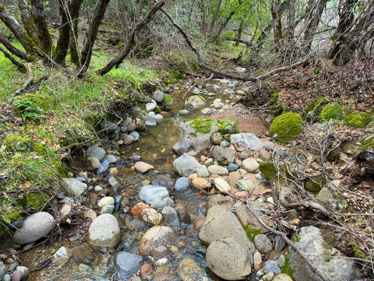 2218 Butte Mountain Rd