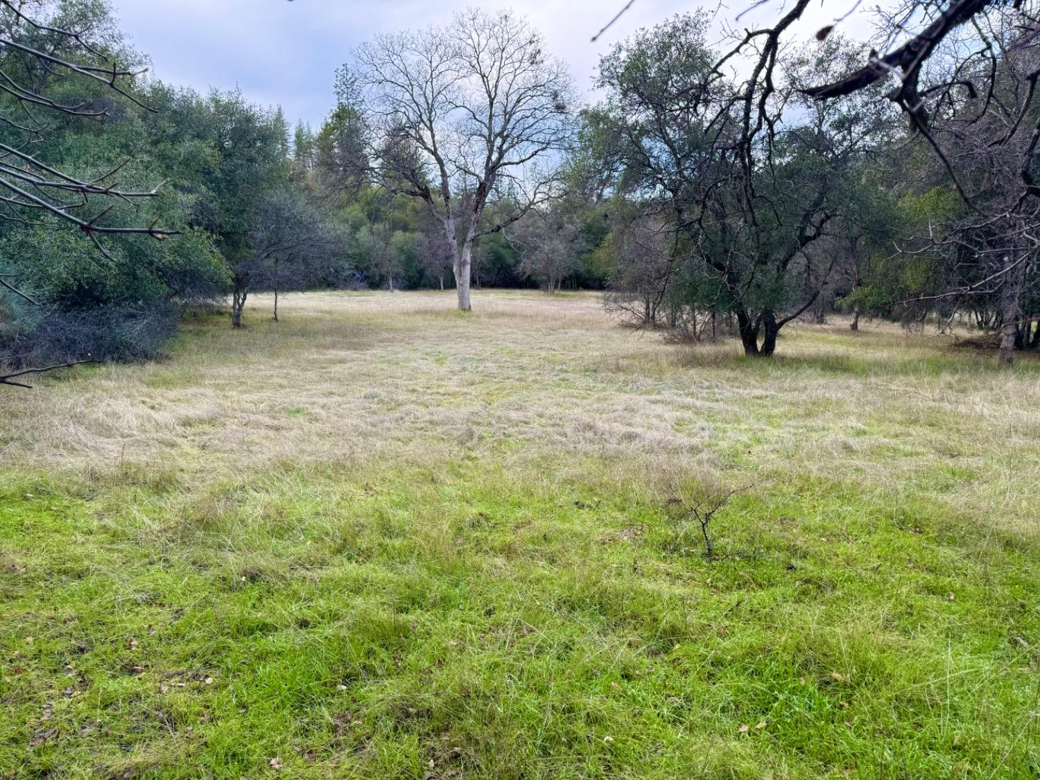 2218 Butte Mountain Rd