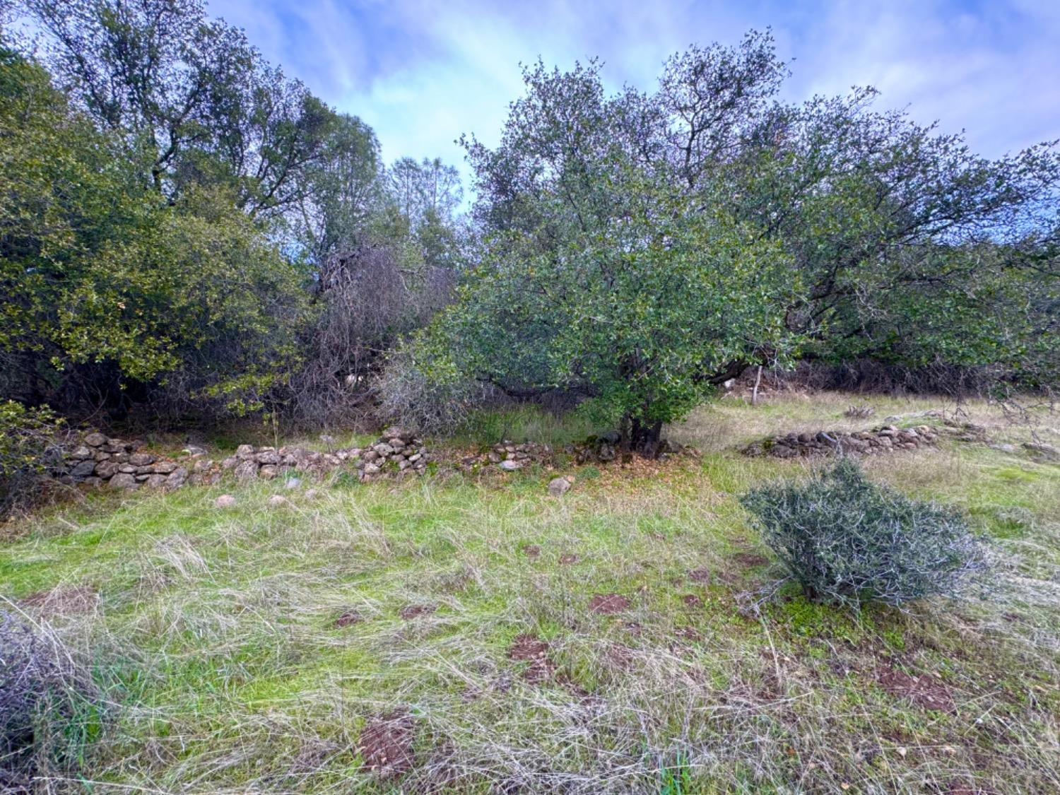2218 Butte Mountain Rd