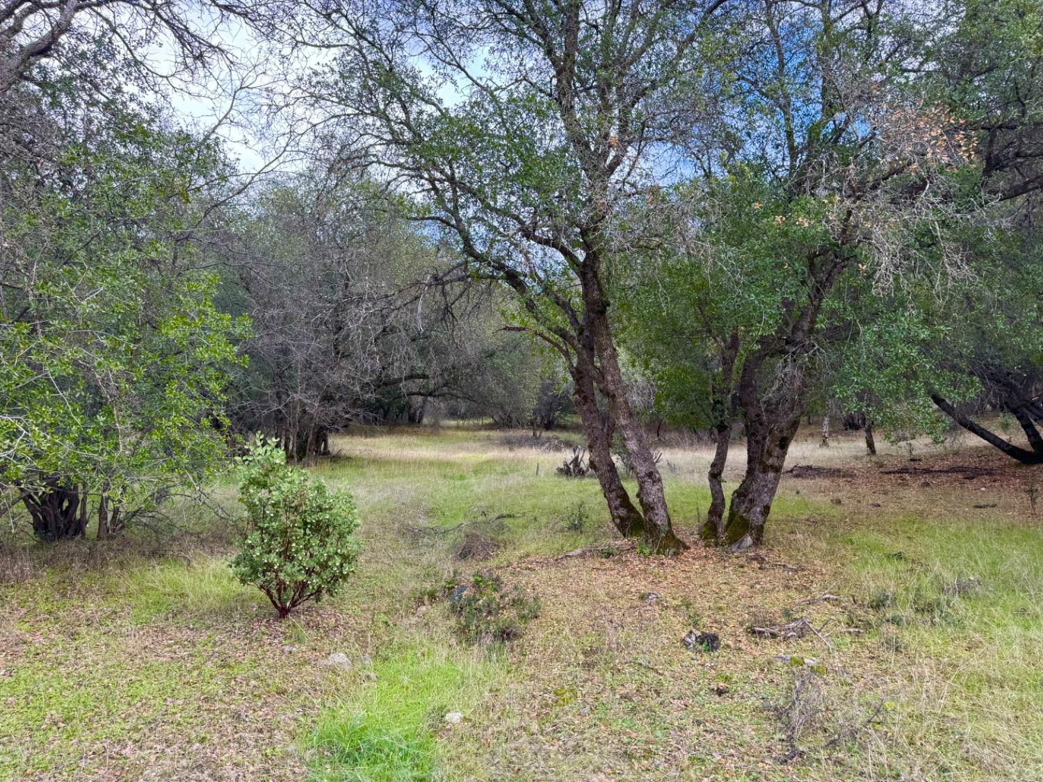 2218 Butte Mountain Rd
