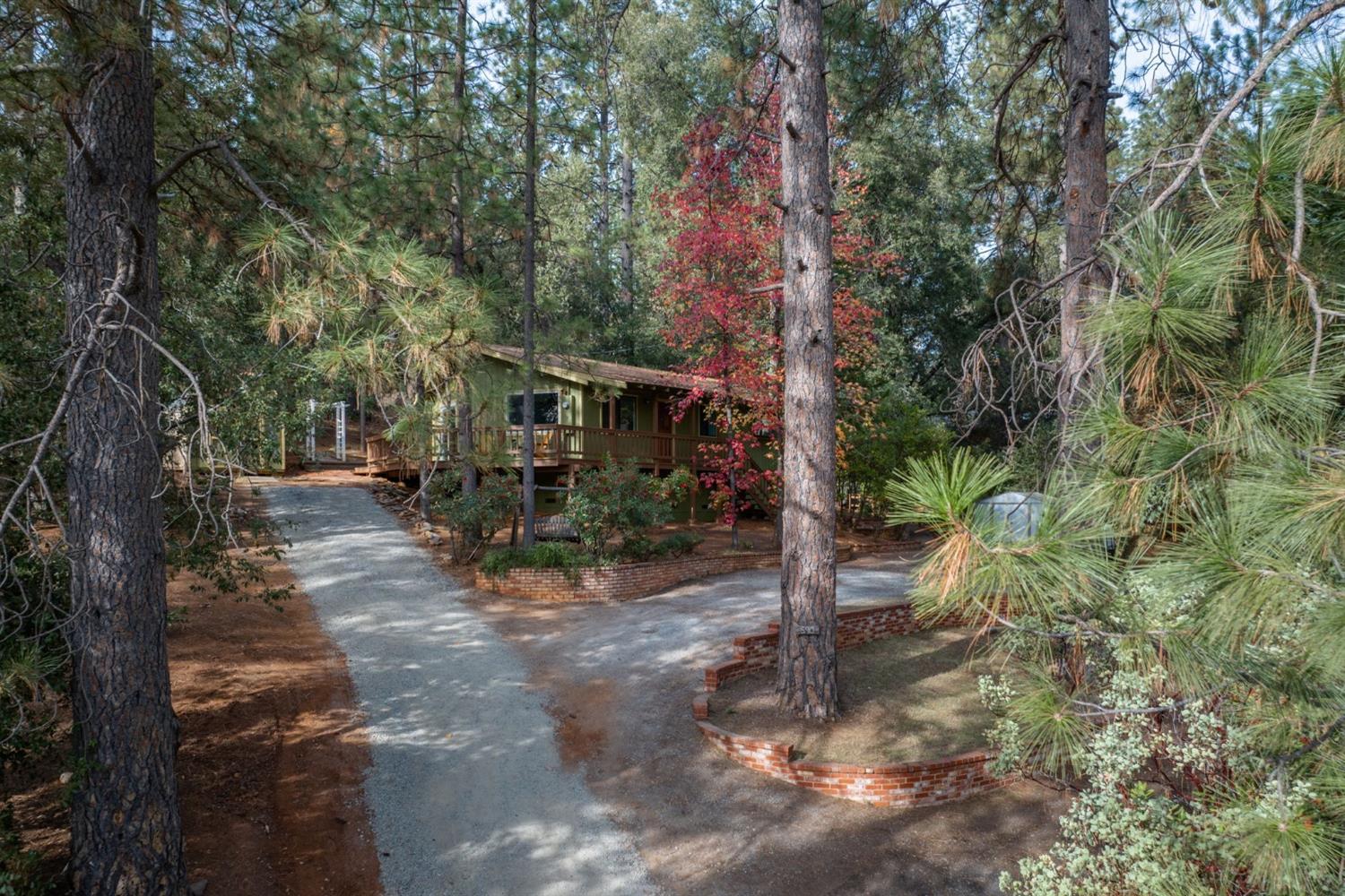 5913 Sheep Ranch Road