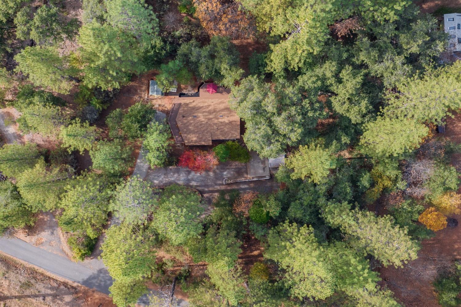 5913 Sheep Ranch Road