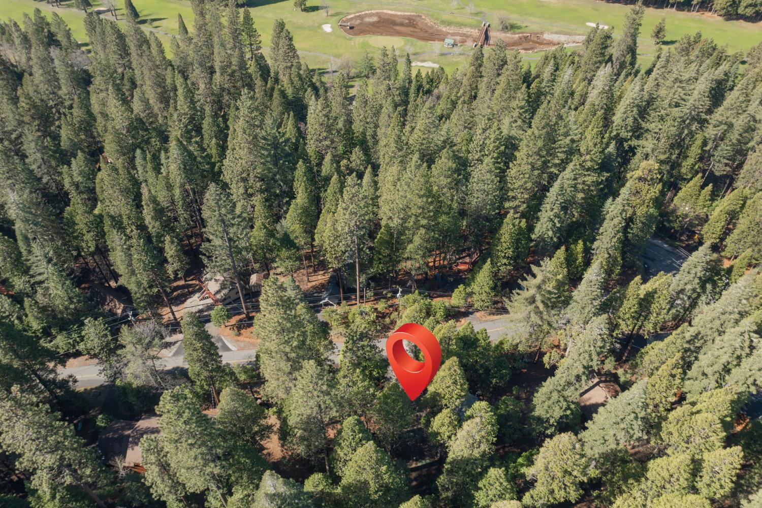 1229 Cypress Point Drive Drive
