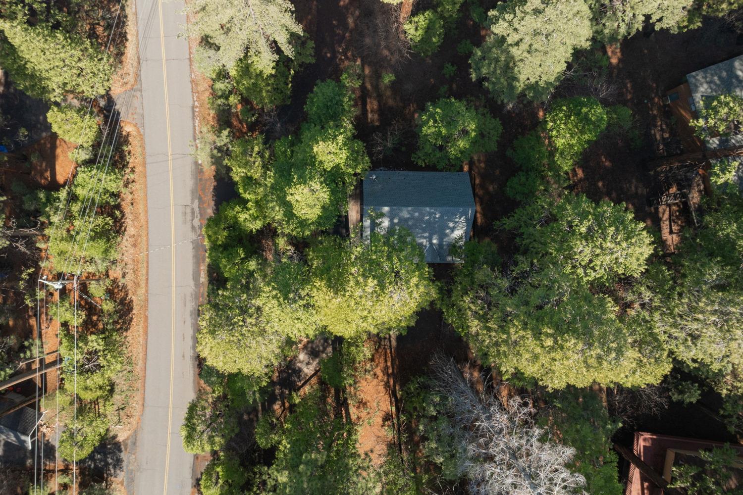 1229 Cypress Point Drive Drive