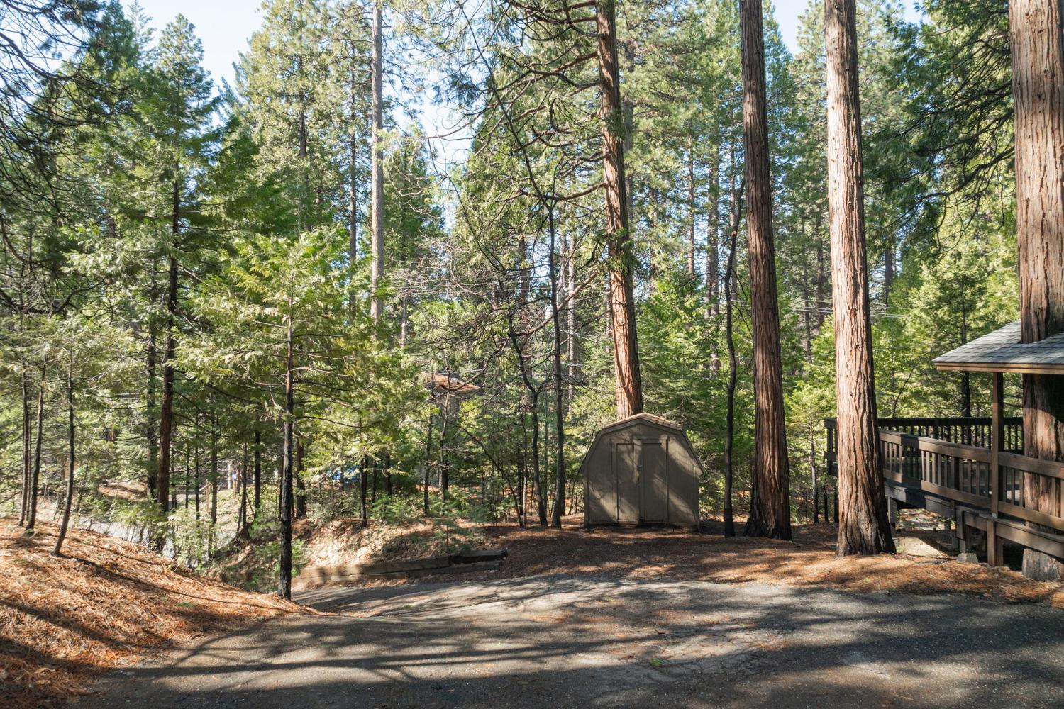 1229 Cypress Point Drive Drive