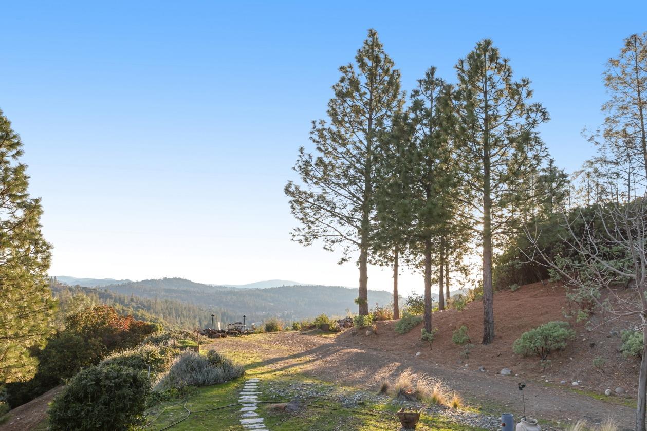 1303 Manzanita Drive