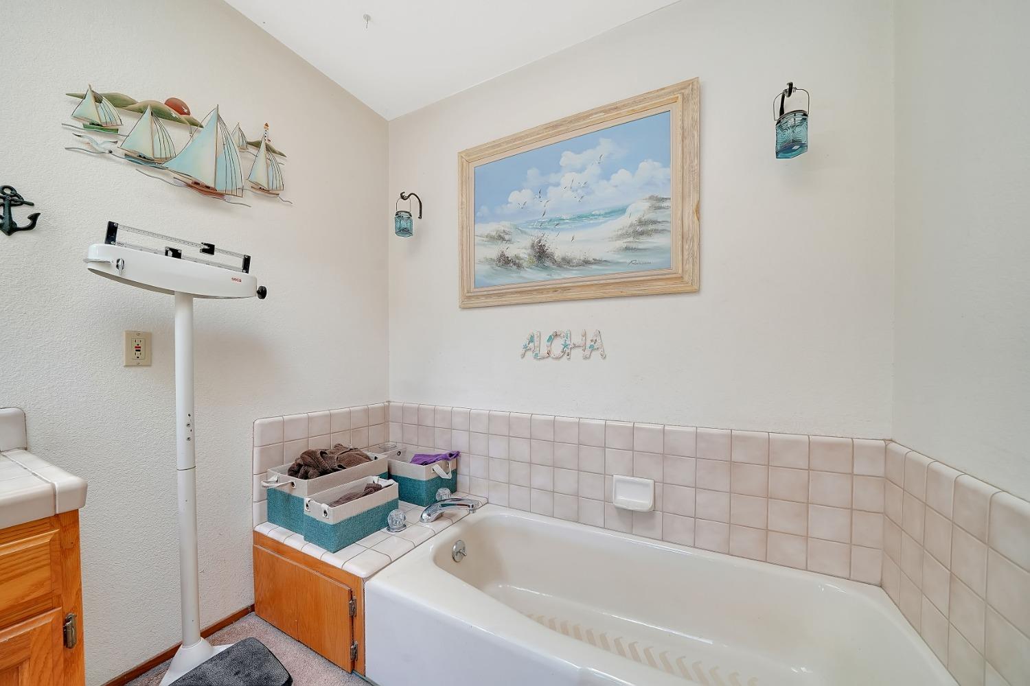 1598 Wet Springs Road