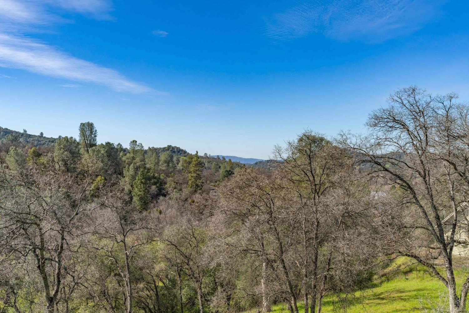 1598 Wet Springs Road