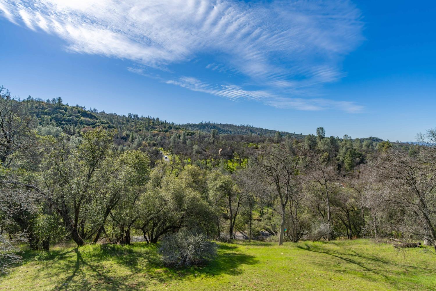 1598 Wet Springs Road