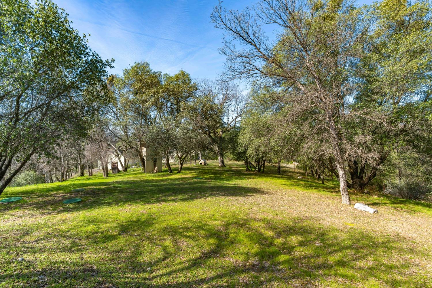 1598 Wet Springs Road