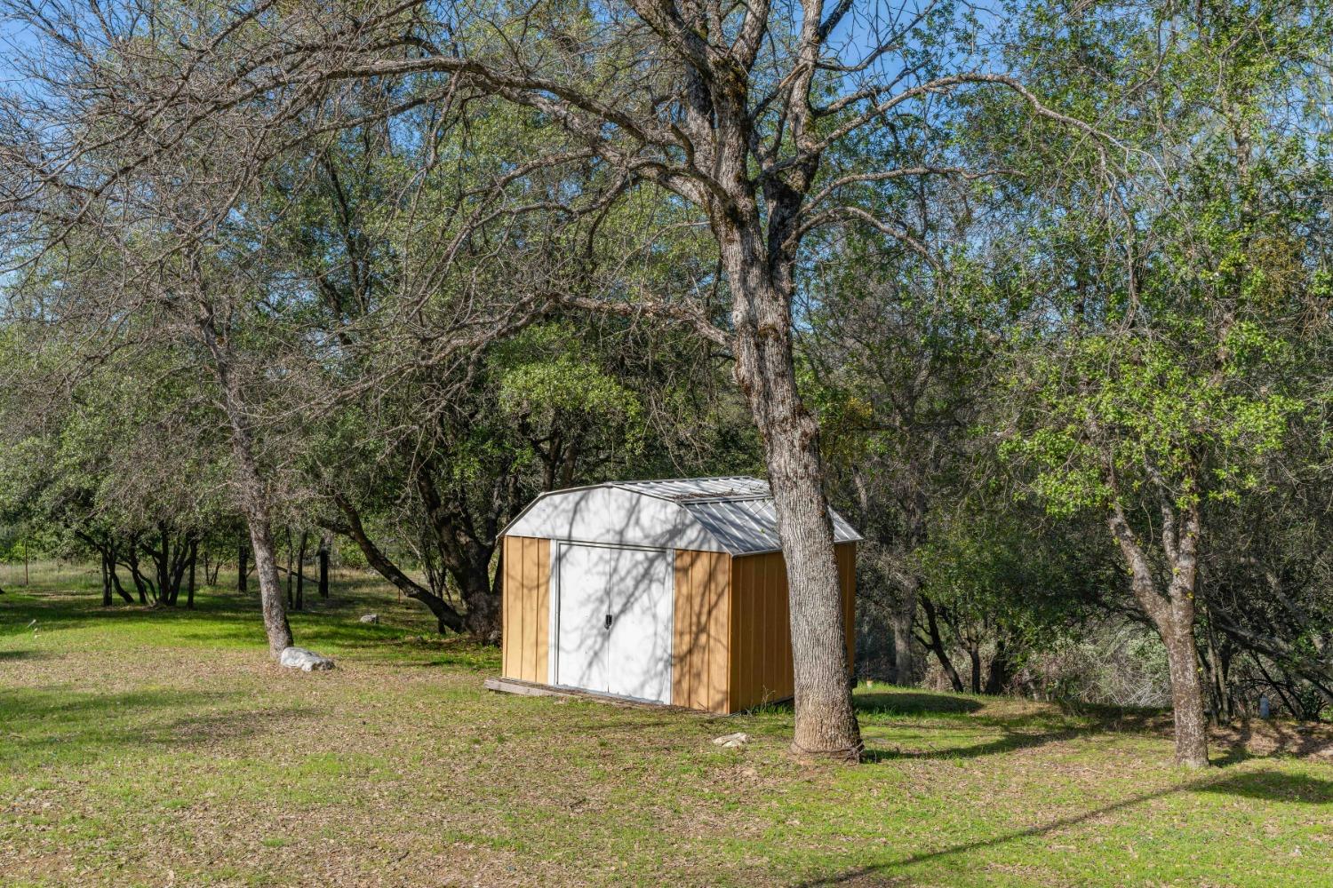 1598 Wet Springs Road