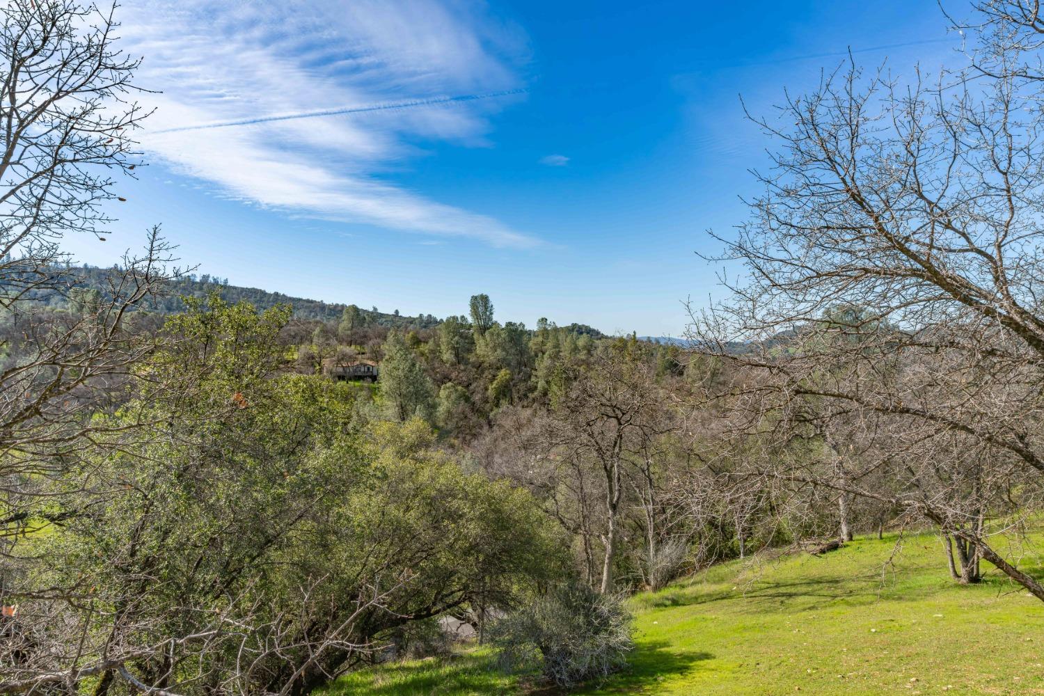 1598 Wet Springs Road