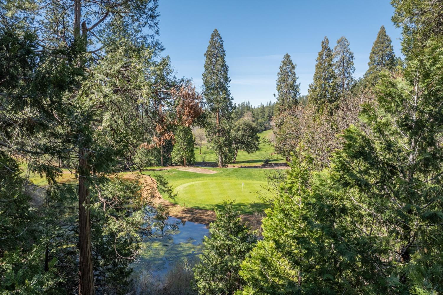 1094 Fairway Court