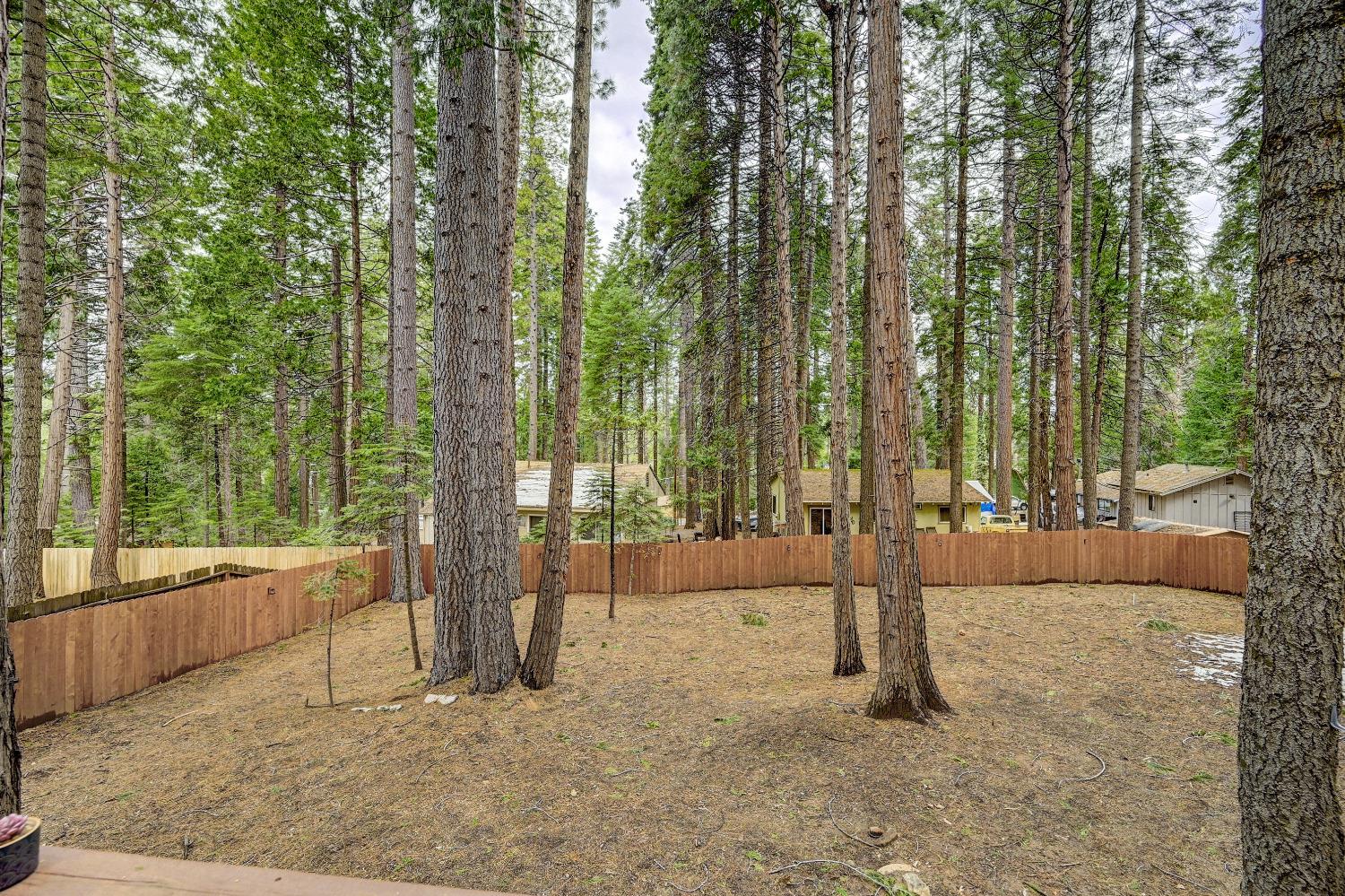 1400 Lilac Drive