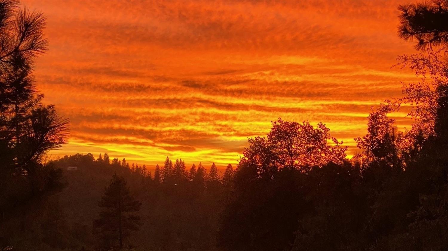 1756 French Gulch Road